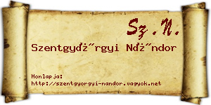 Szentgyörgyi Nándor névjegykártya